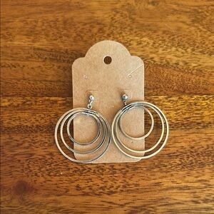 Elegant Silver and Gold Hoop Earrings